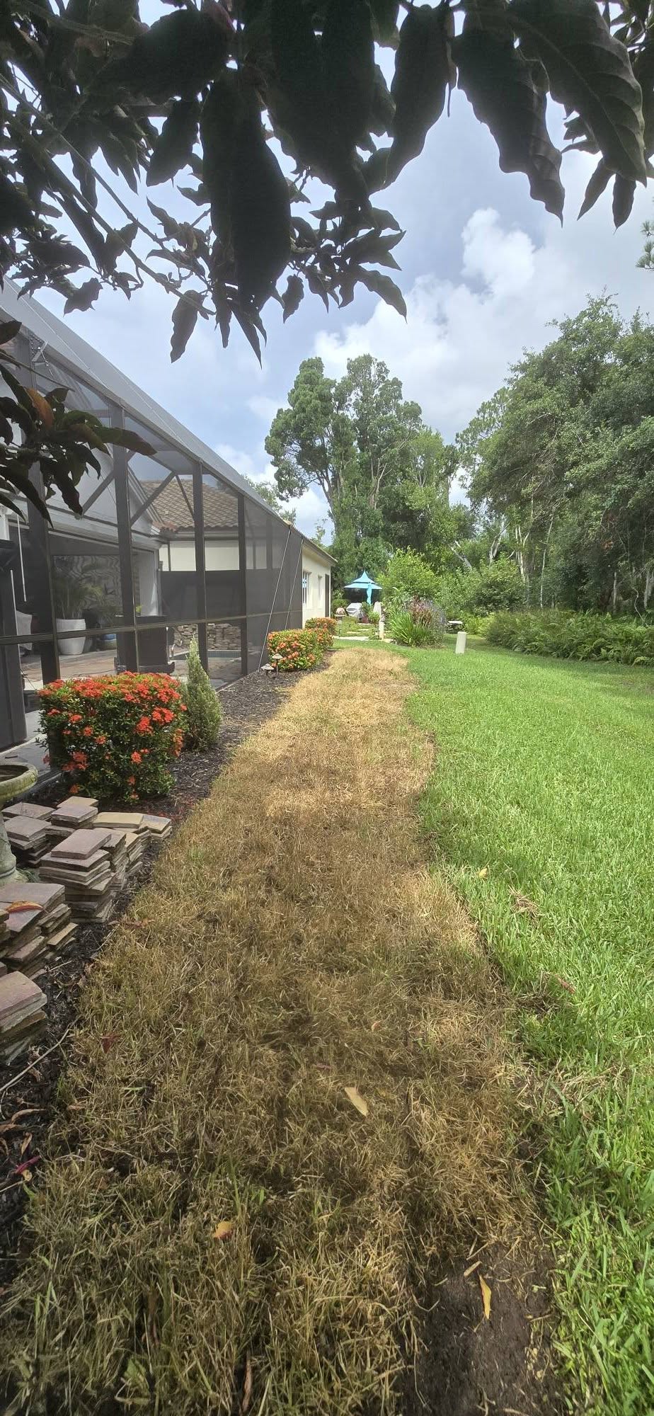 Yard Cleanups & Property Maintenance