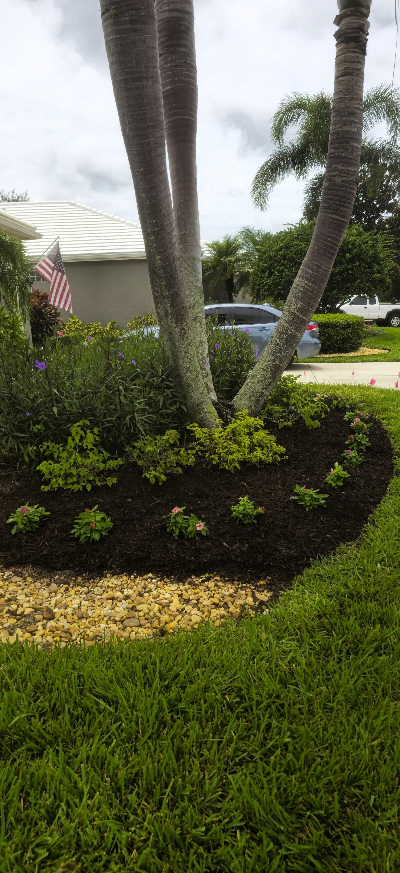 Lawn Maintenance & Turf Care